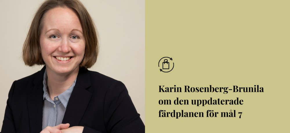 Karin Rosenberg-Brunila Om Färdplanen För Mål 7 | Bärkraft.ax